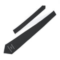 Hidden Scripture- Wisdom Was Expensive- Tie